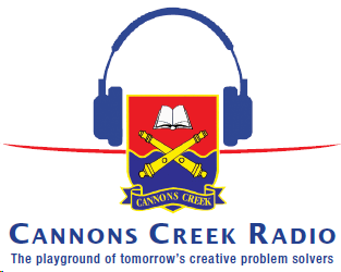 Cannons Creek Radio on SABC News!