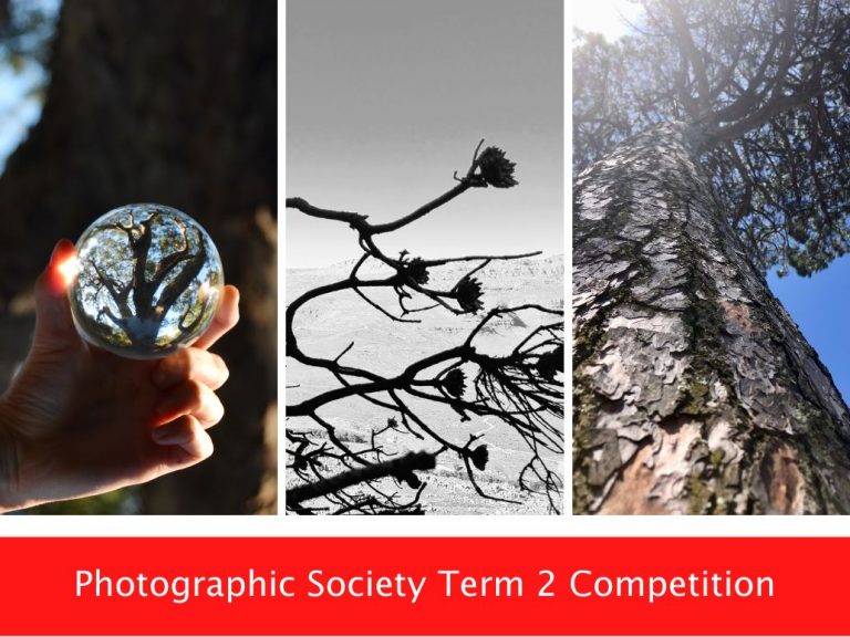 Photographic Society announces Term 2 Winners