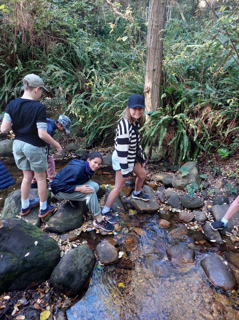 Grade 6s explore the Liesbeeck River